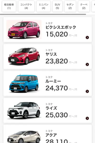 定額カルモお試し審査手順